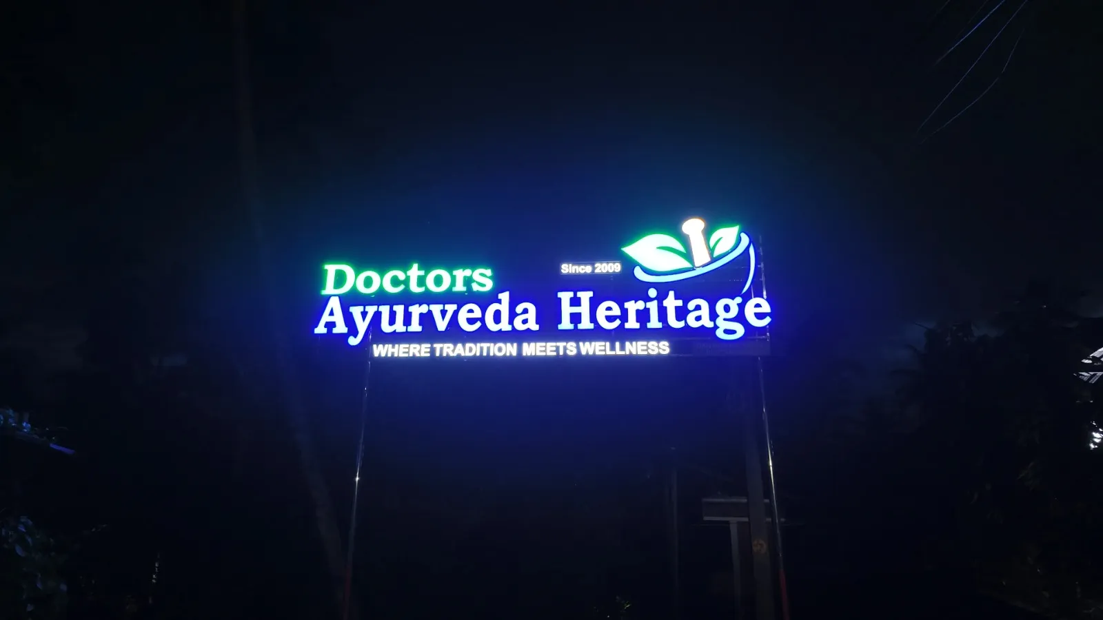 Doctors Ayurveda Heritage (26)