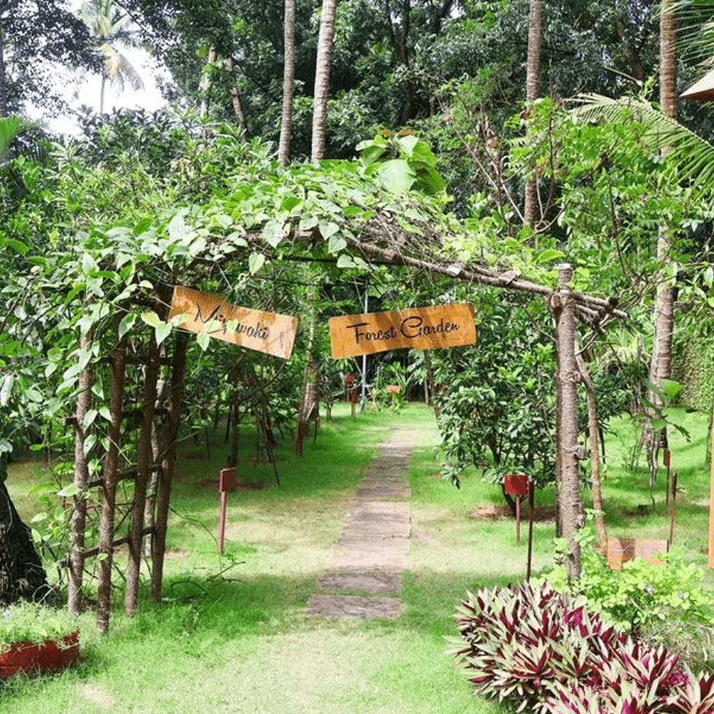 Nattika Beach Ayurveda Resort  Food Garden