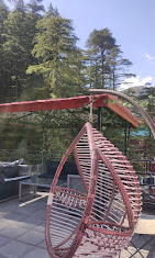 Shivani Ayurveda Roof top