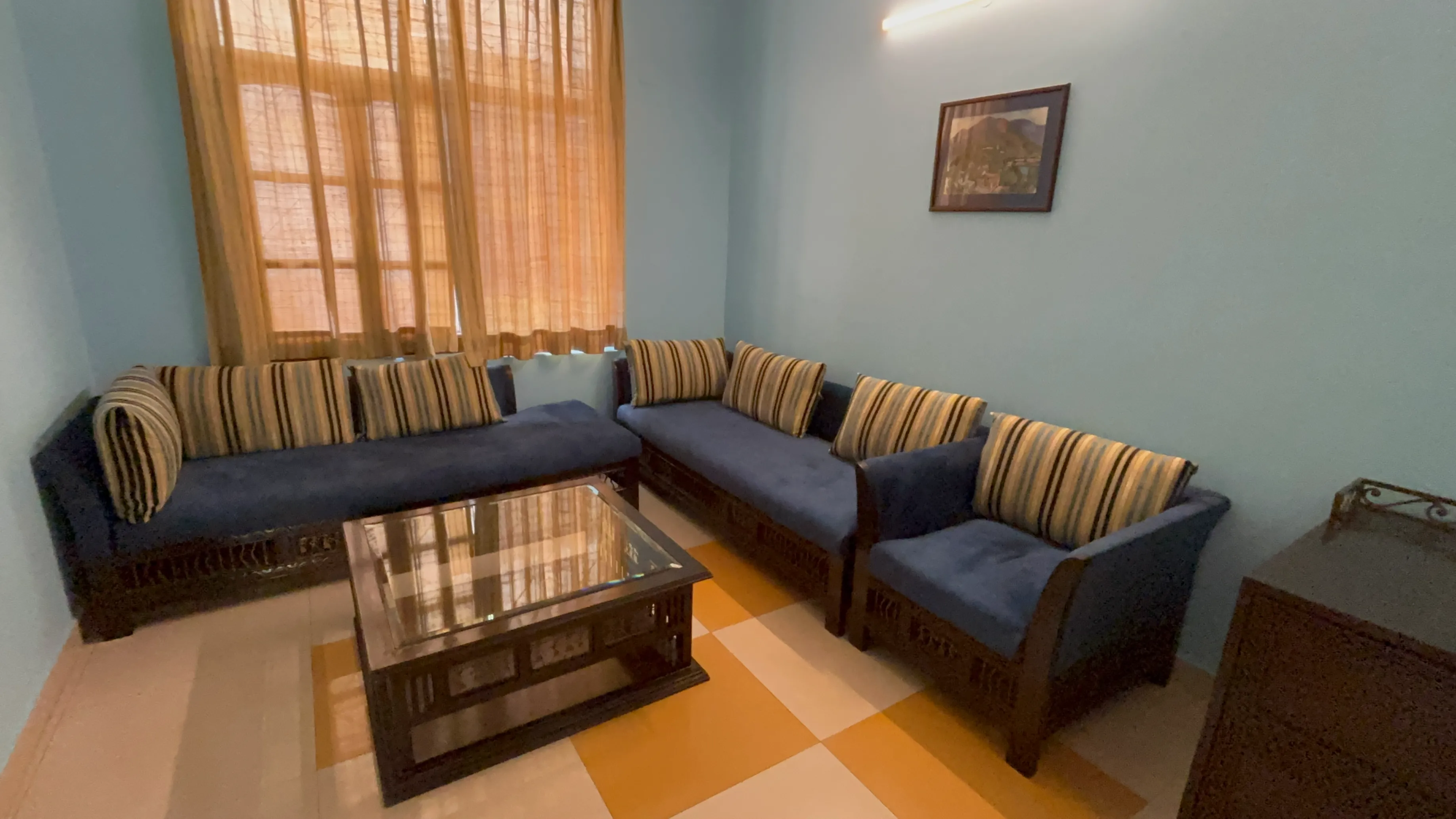 Ayurveda Bhavan Delux Room sofas