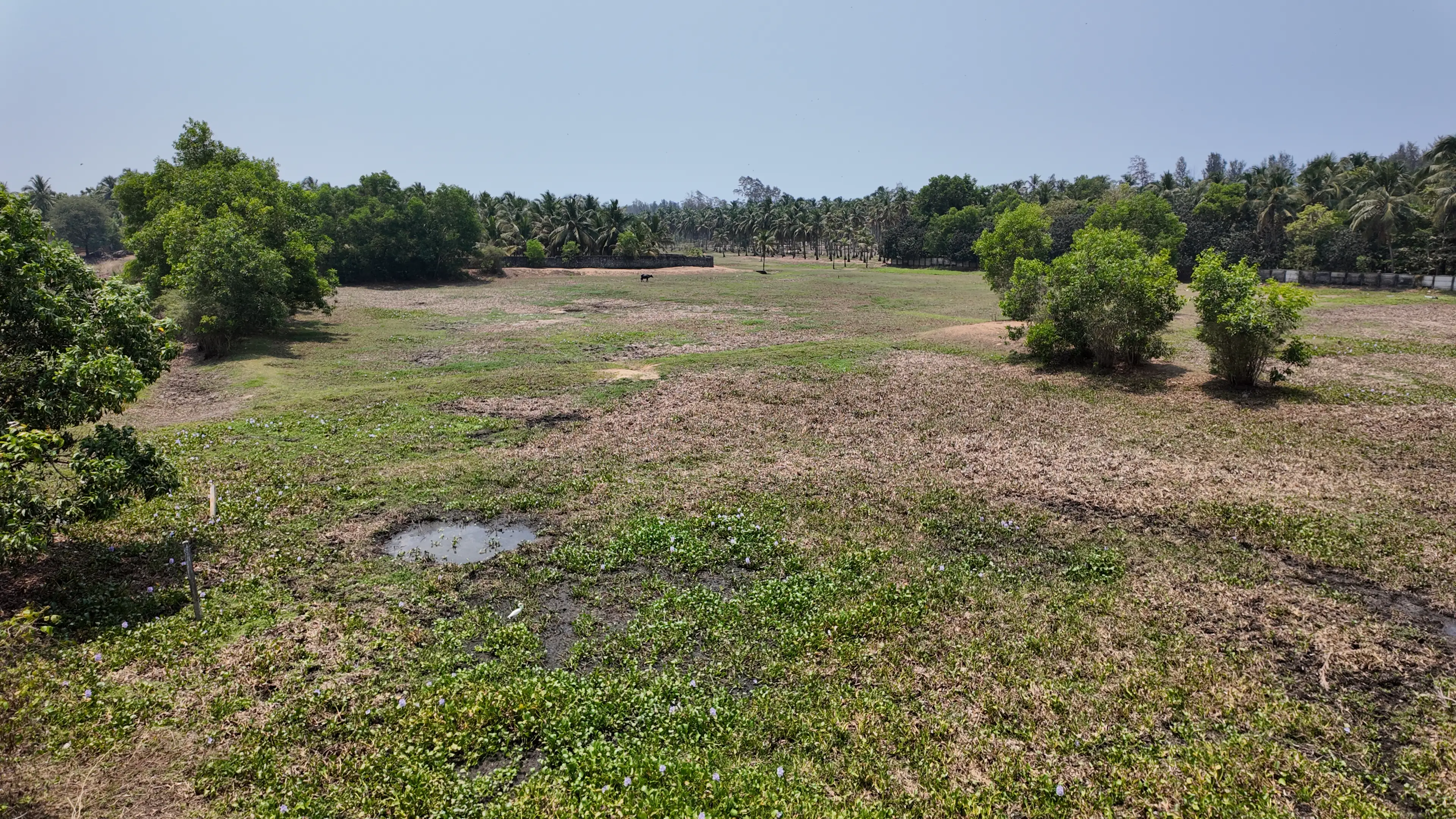 Rajah Eco Beach