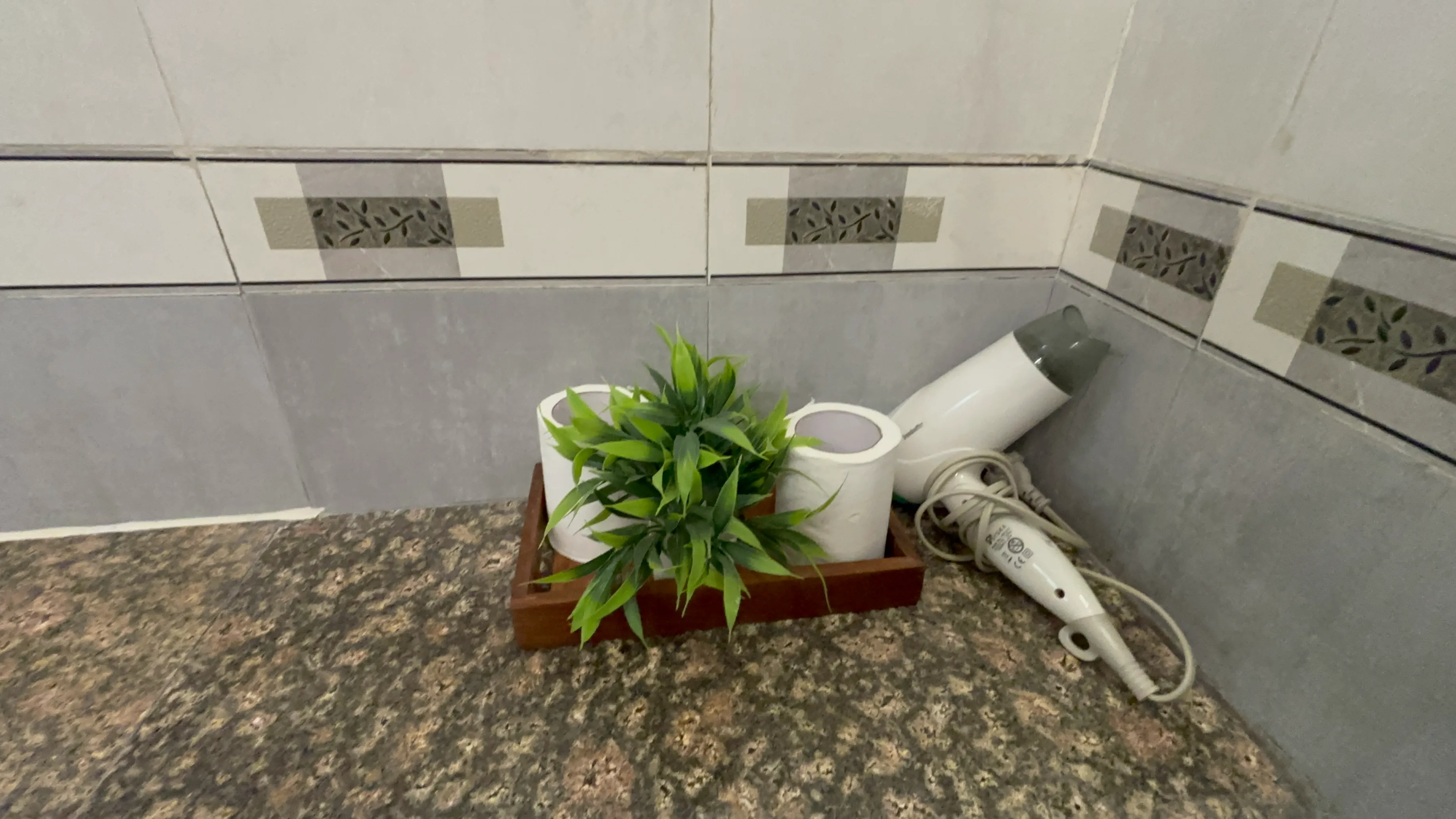 Toilet hair dryer
