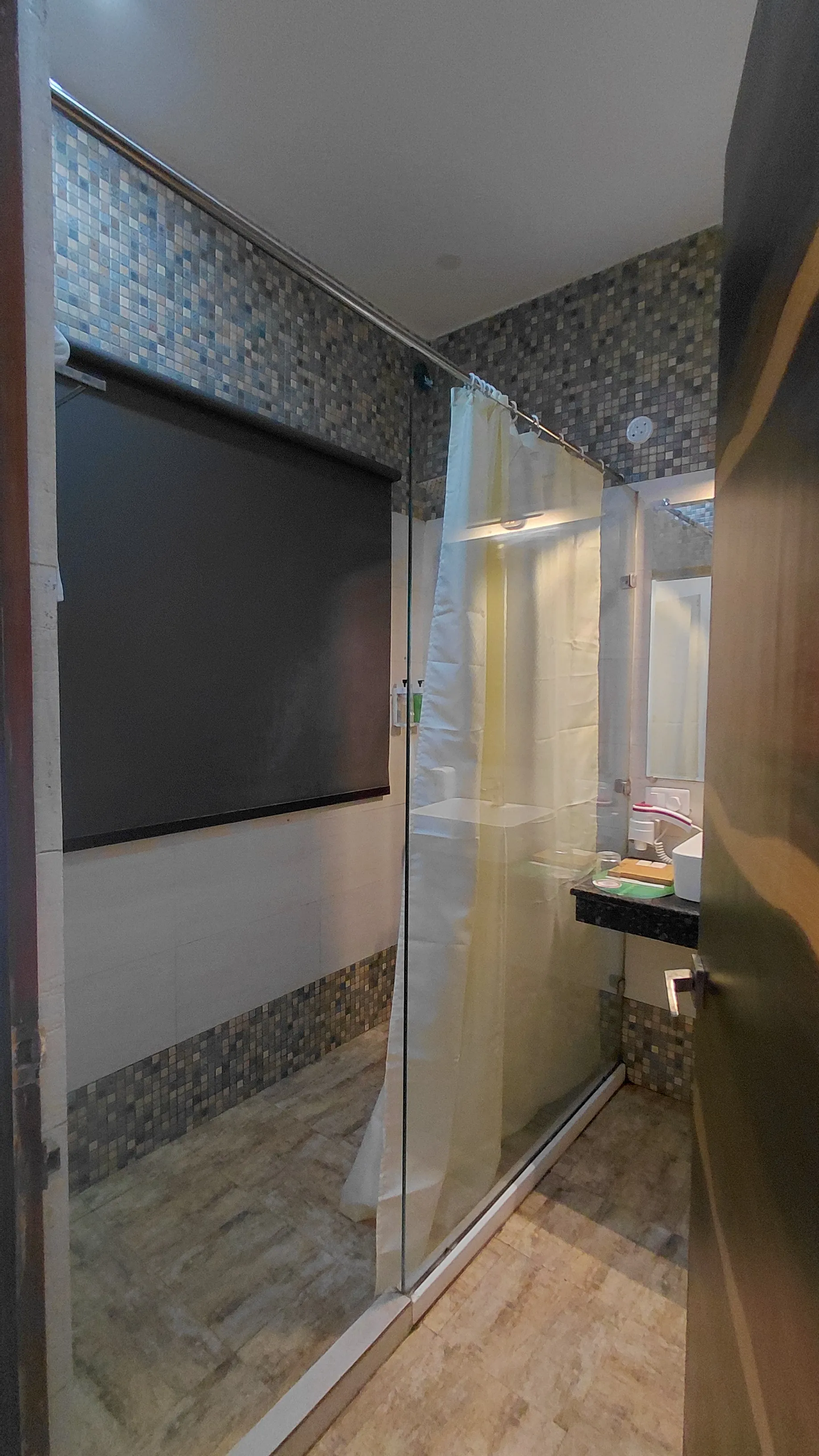 Delux room shower area