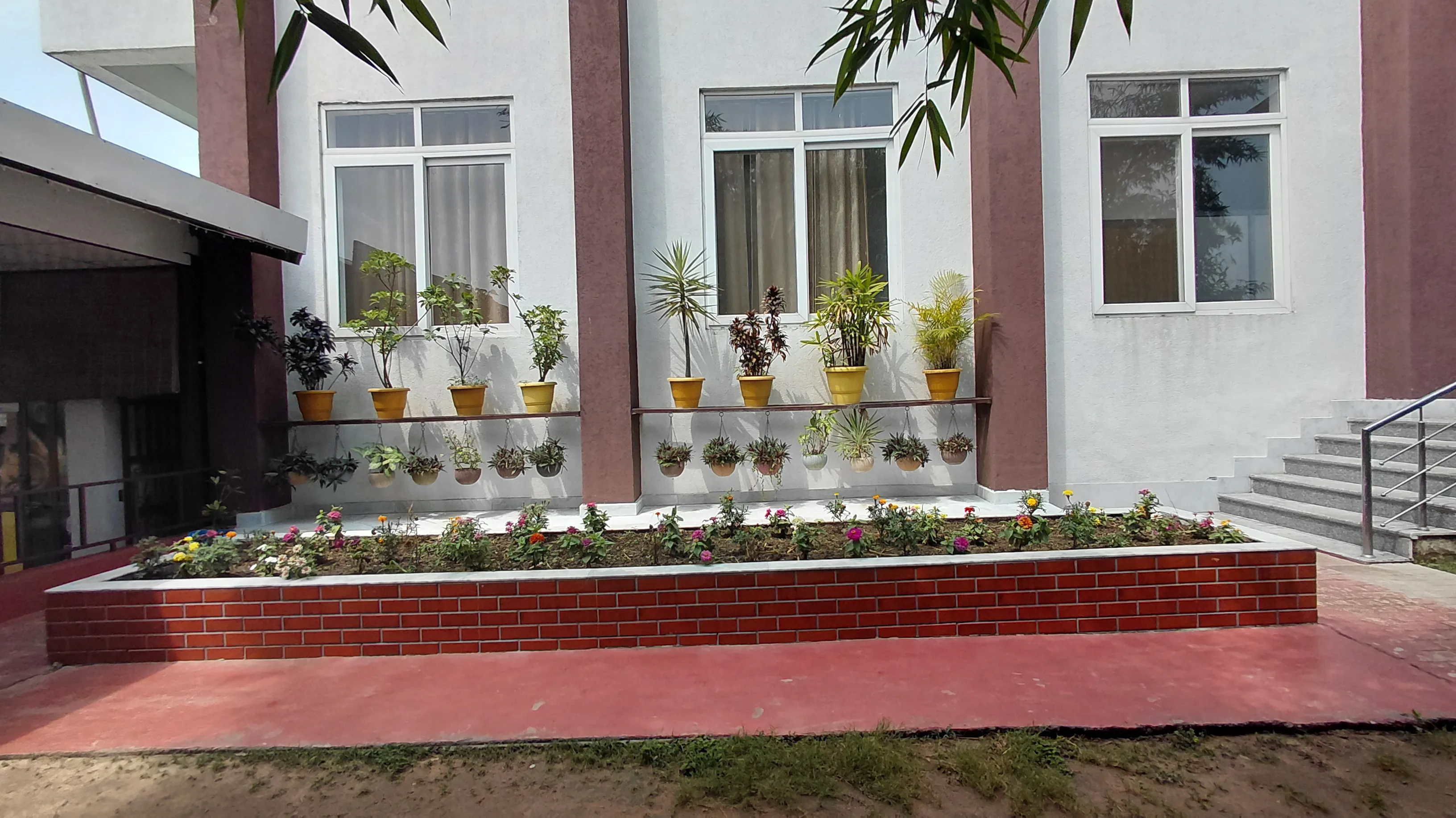 Yan Cure Front Area plants