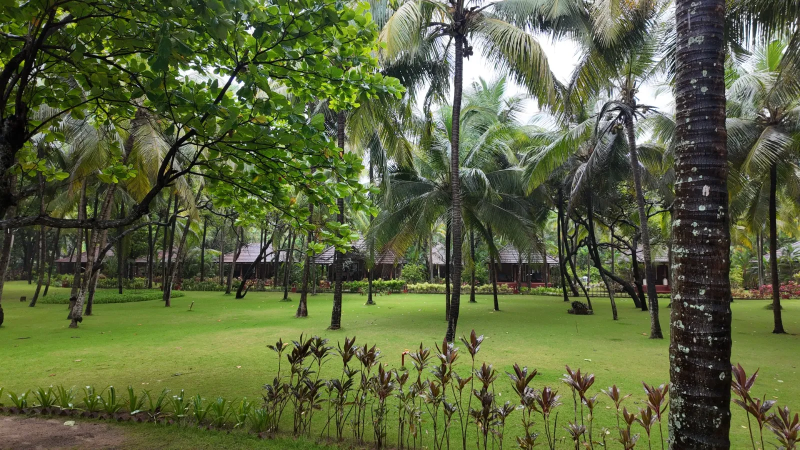 Nattika Beach Ayurveda Resort Lawn Area