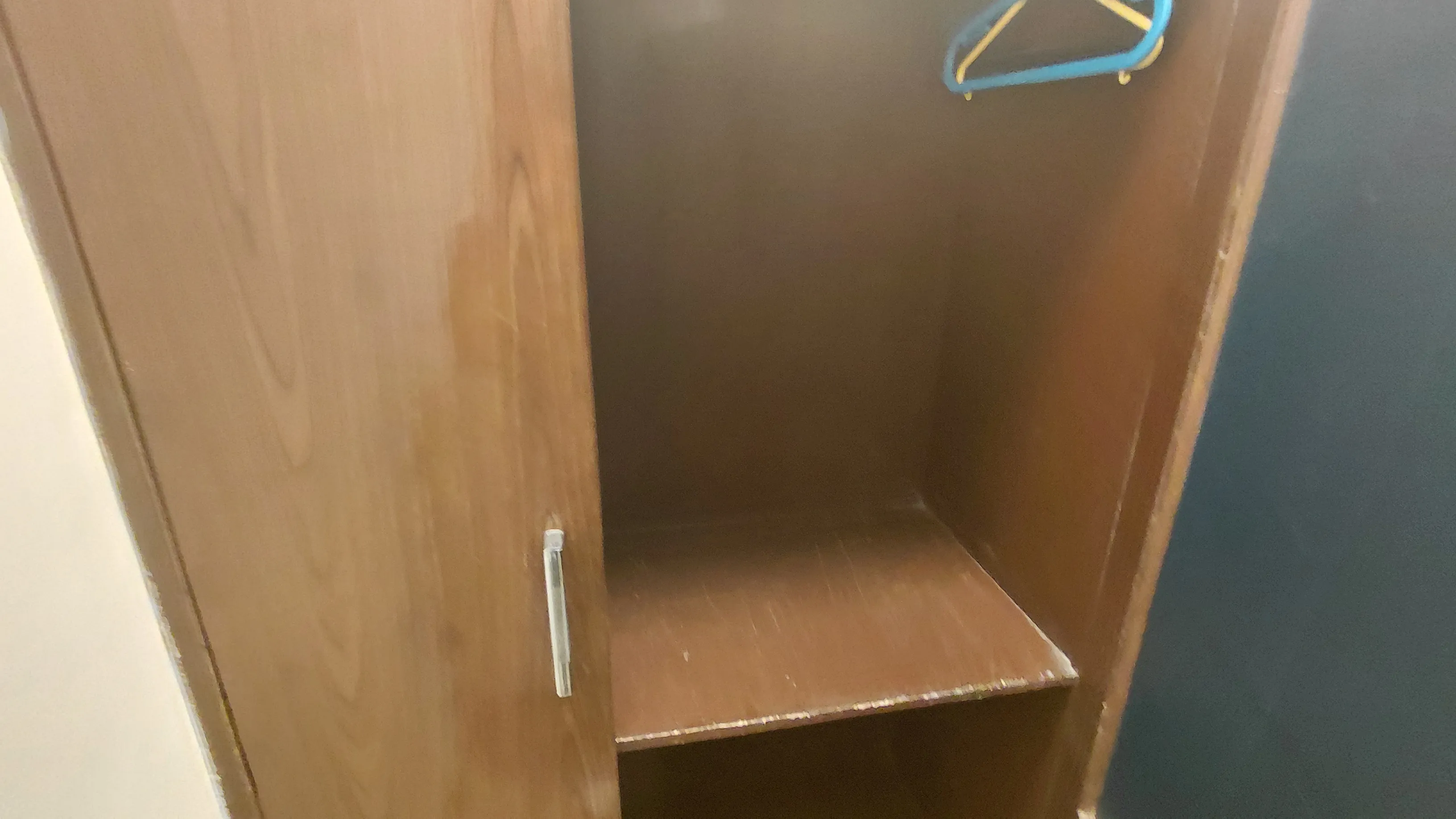 Shivani Ayurveda Delux room wardrobe