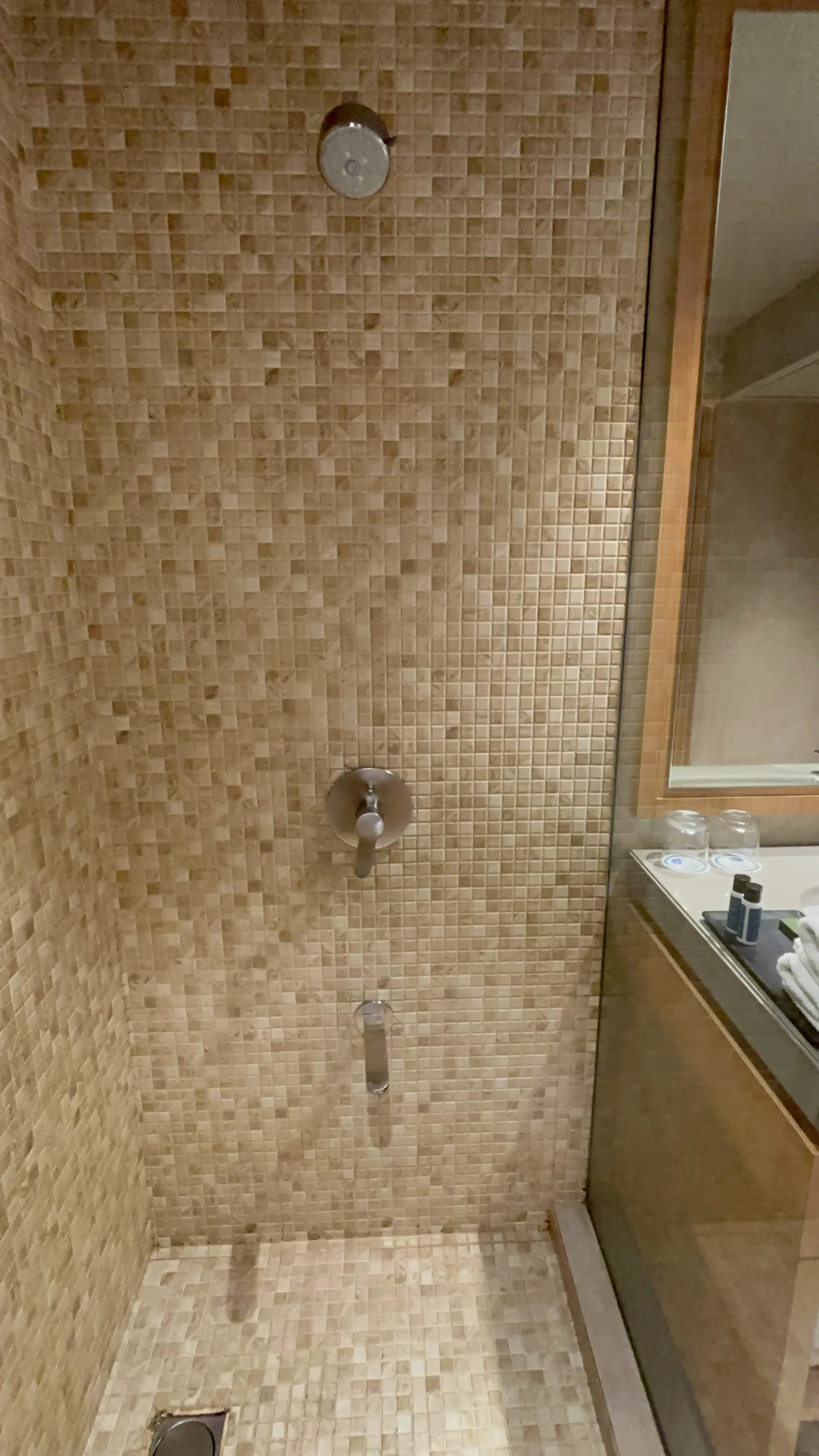 City view room Shower