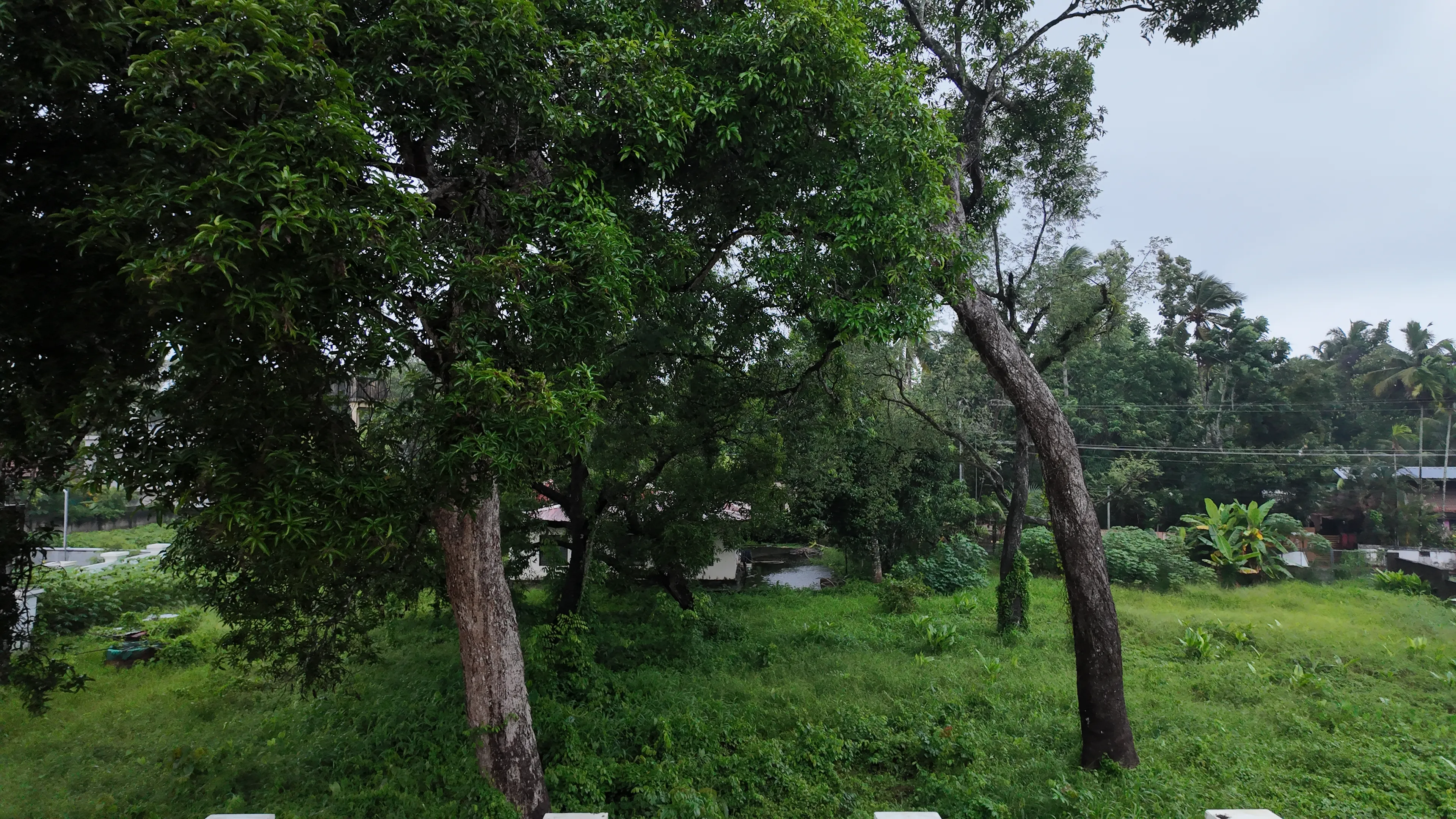 Sreemoolavasam Wellness & Leisure Retreat