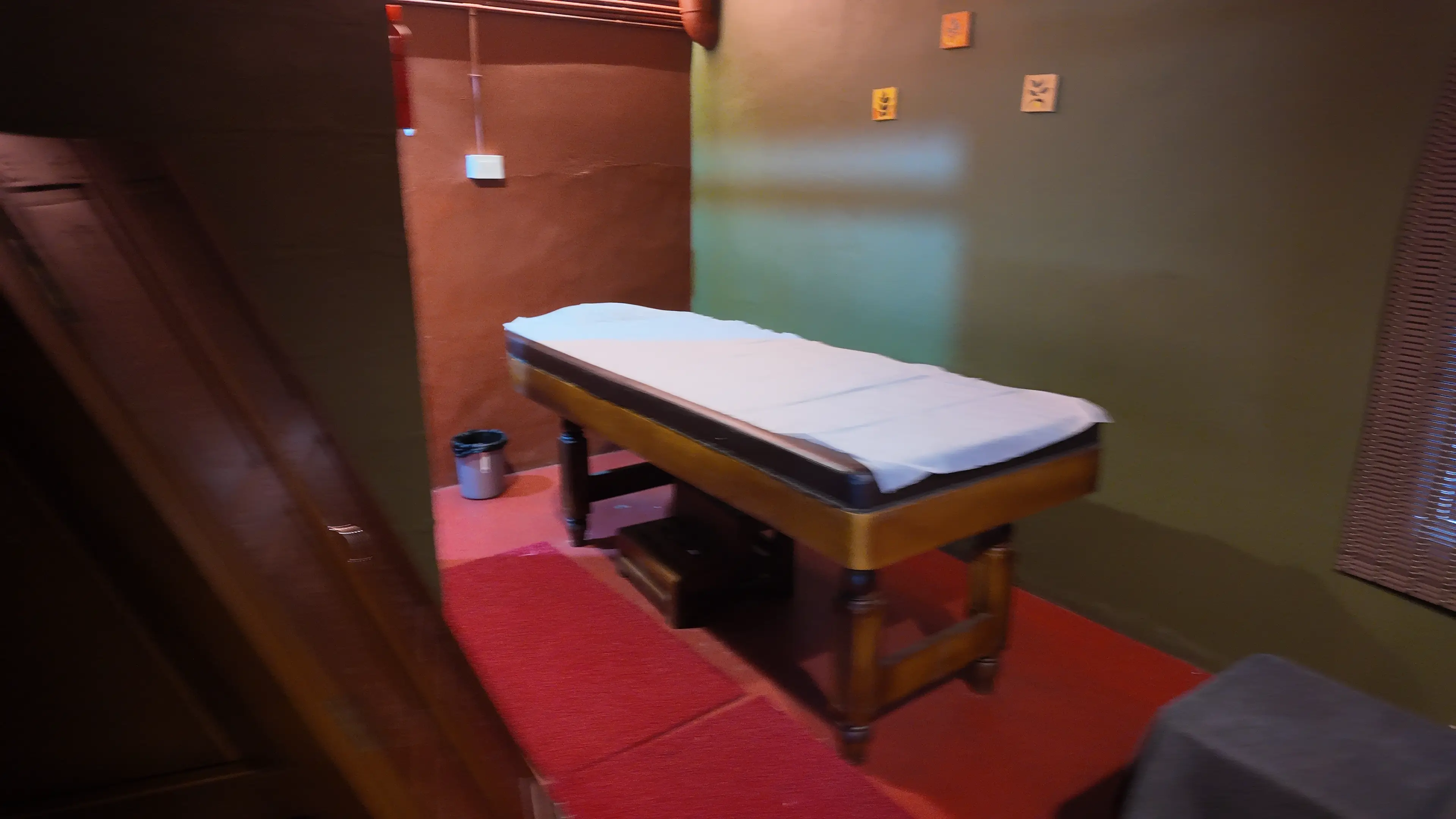 Pranaalaya Good Earth Wellness Ayurveda Treatment Room