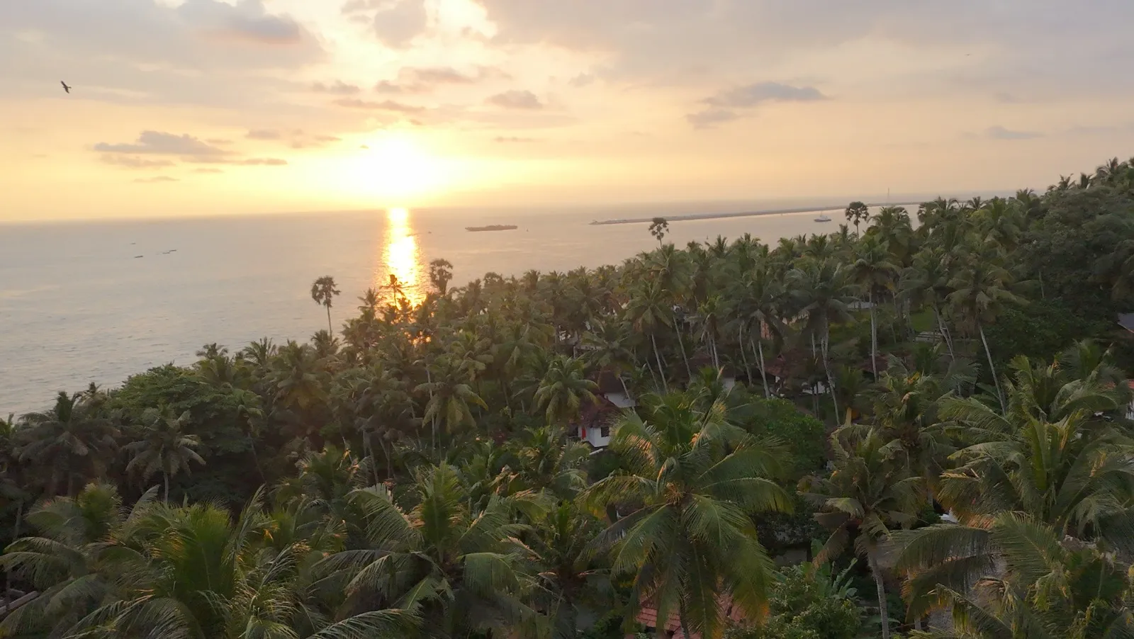 Nikkis Nest Areal Sea View