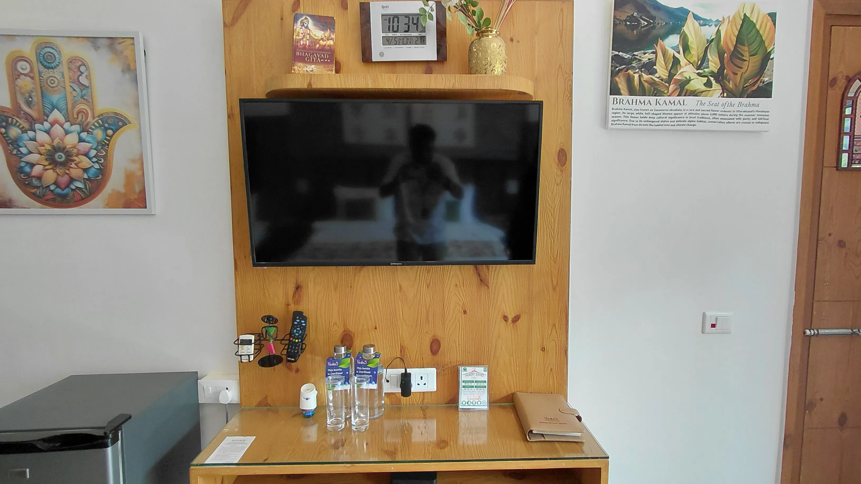 Delux room tv