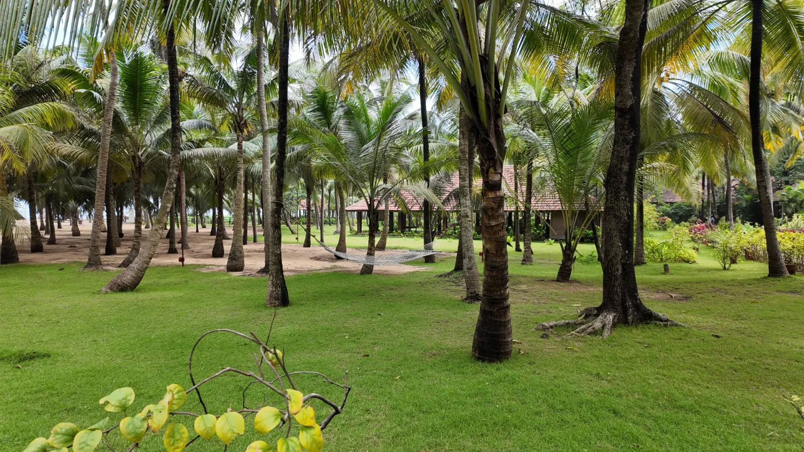 Nattika Beach Ayurveda Resort Lawn