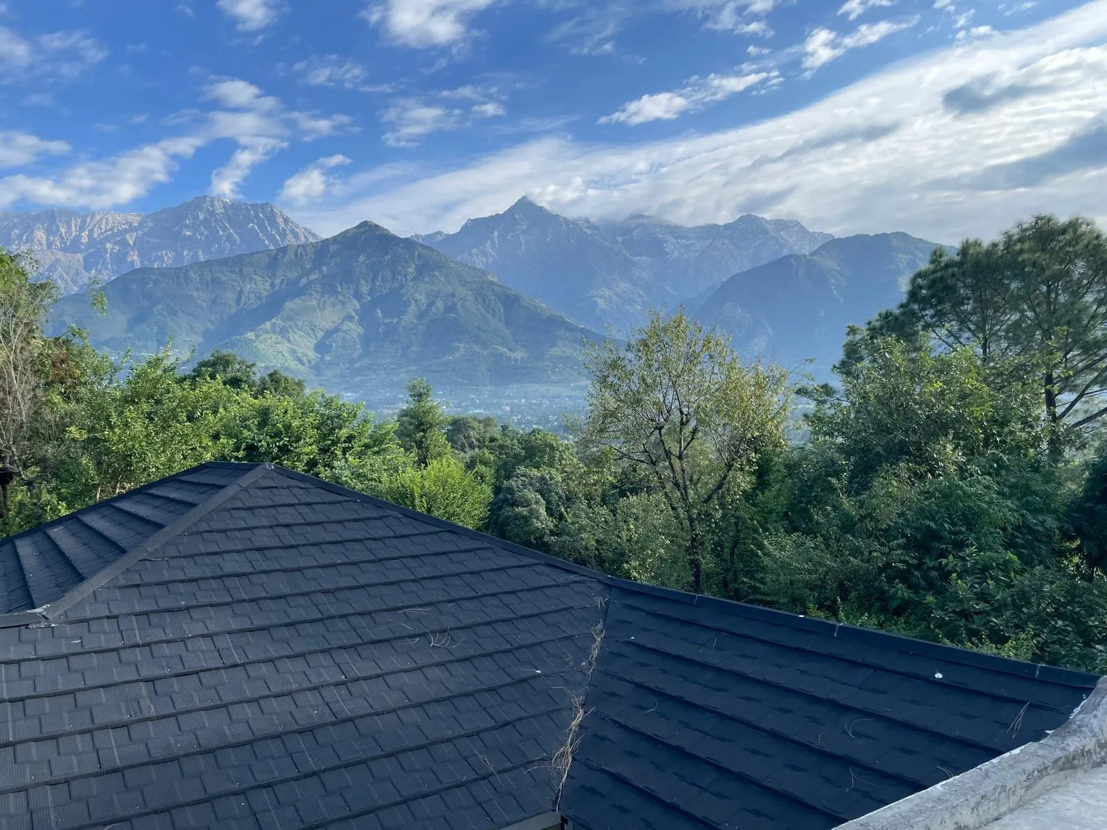 view6