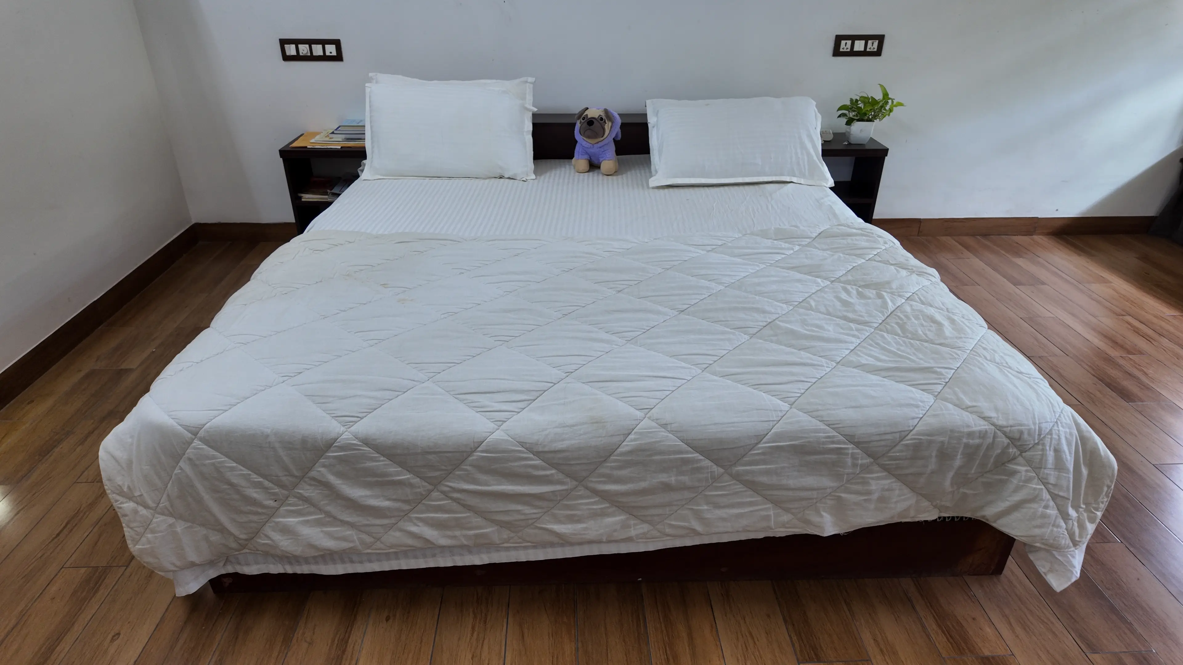 Pranaalaya Good Earth Wellness Room