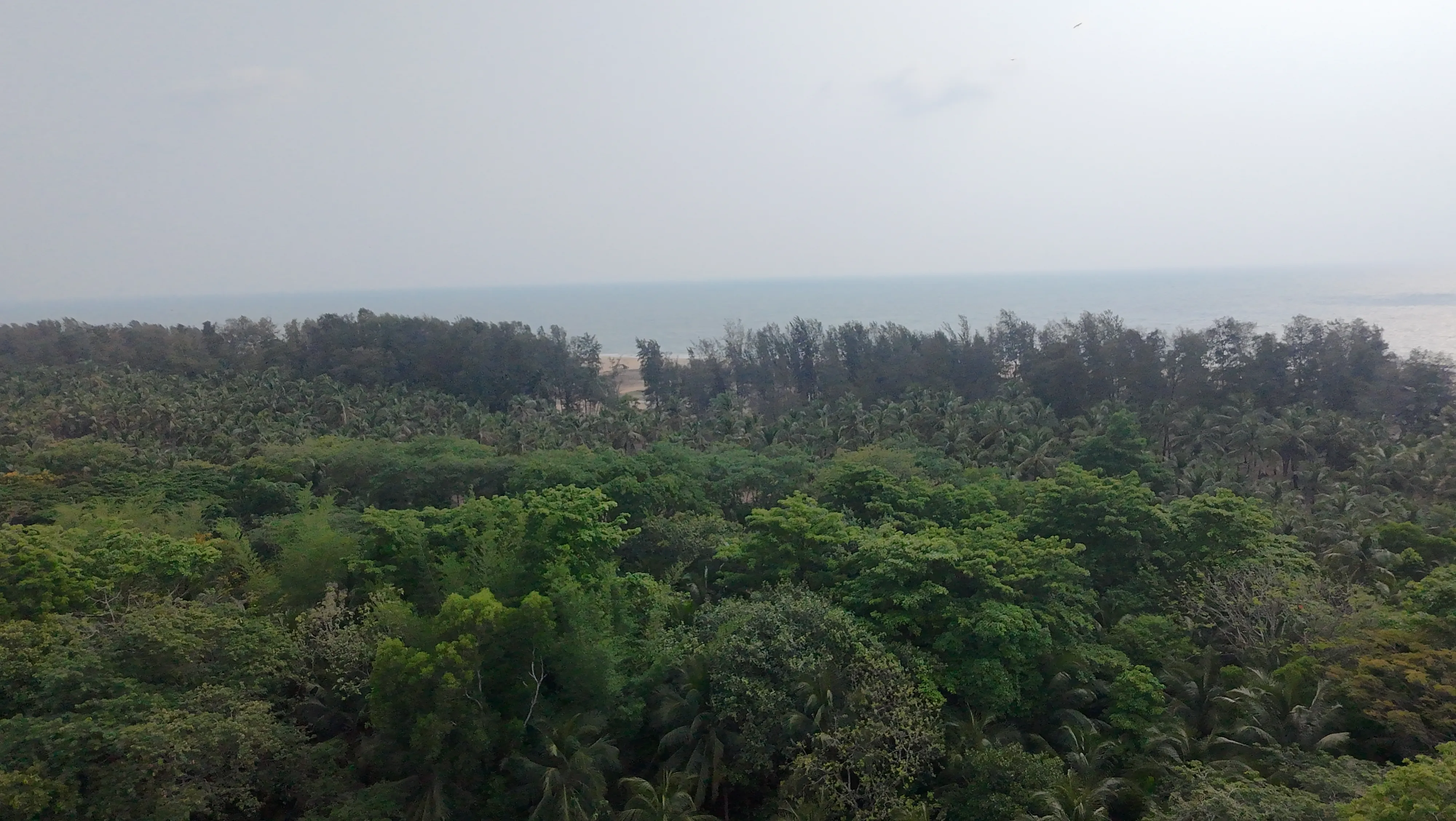 Rajah  Beach Drone
