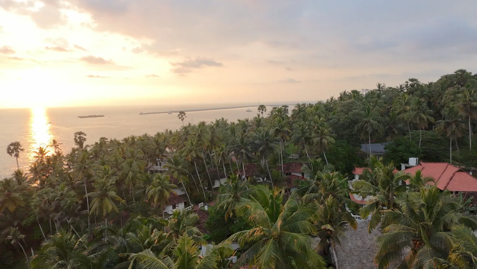 Nikkis Nest Sun Set