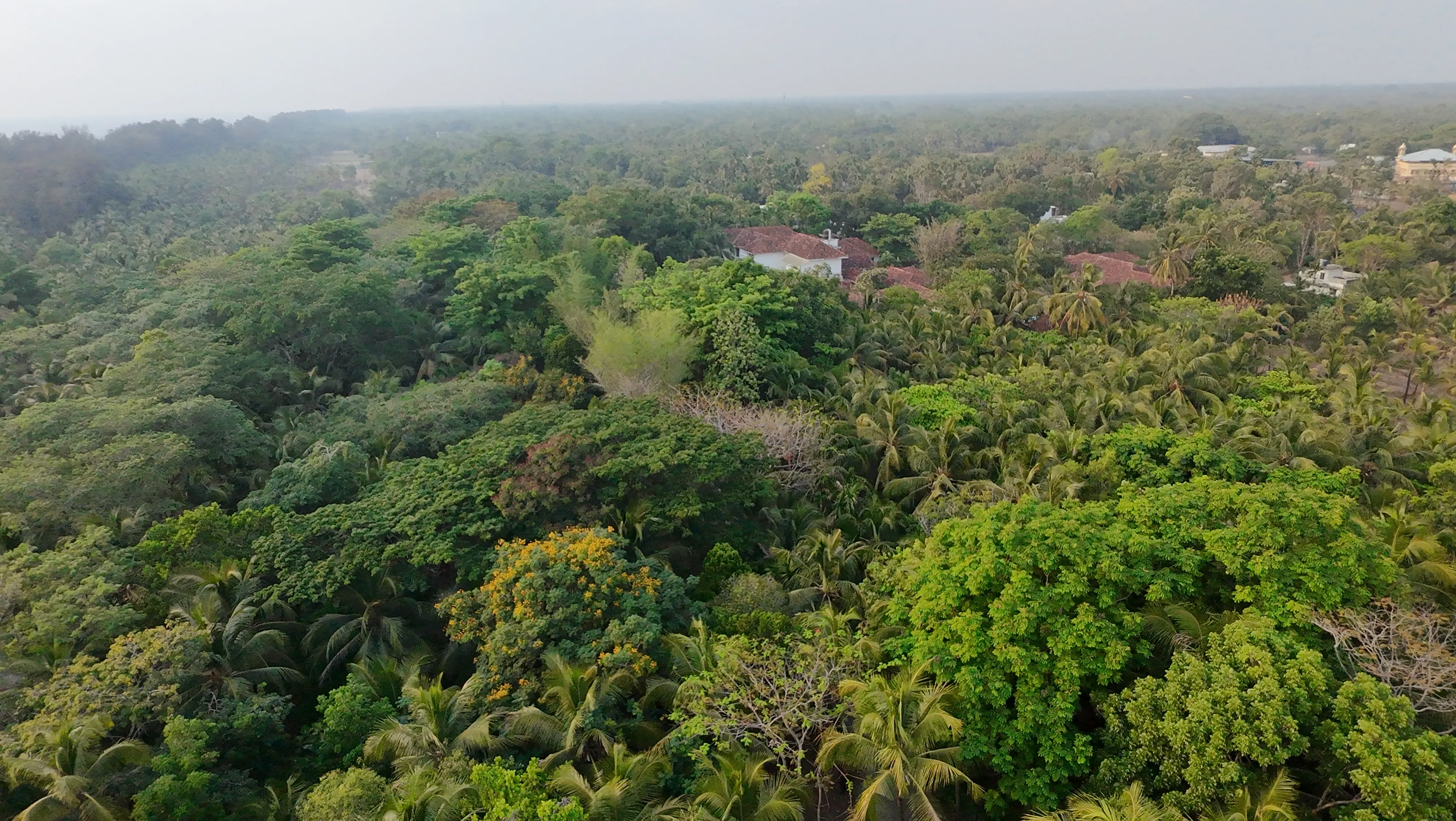 Rajah Eco Beach Drone