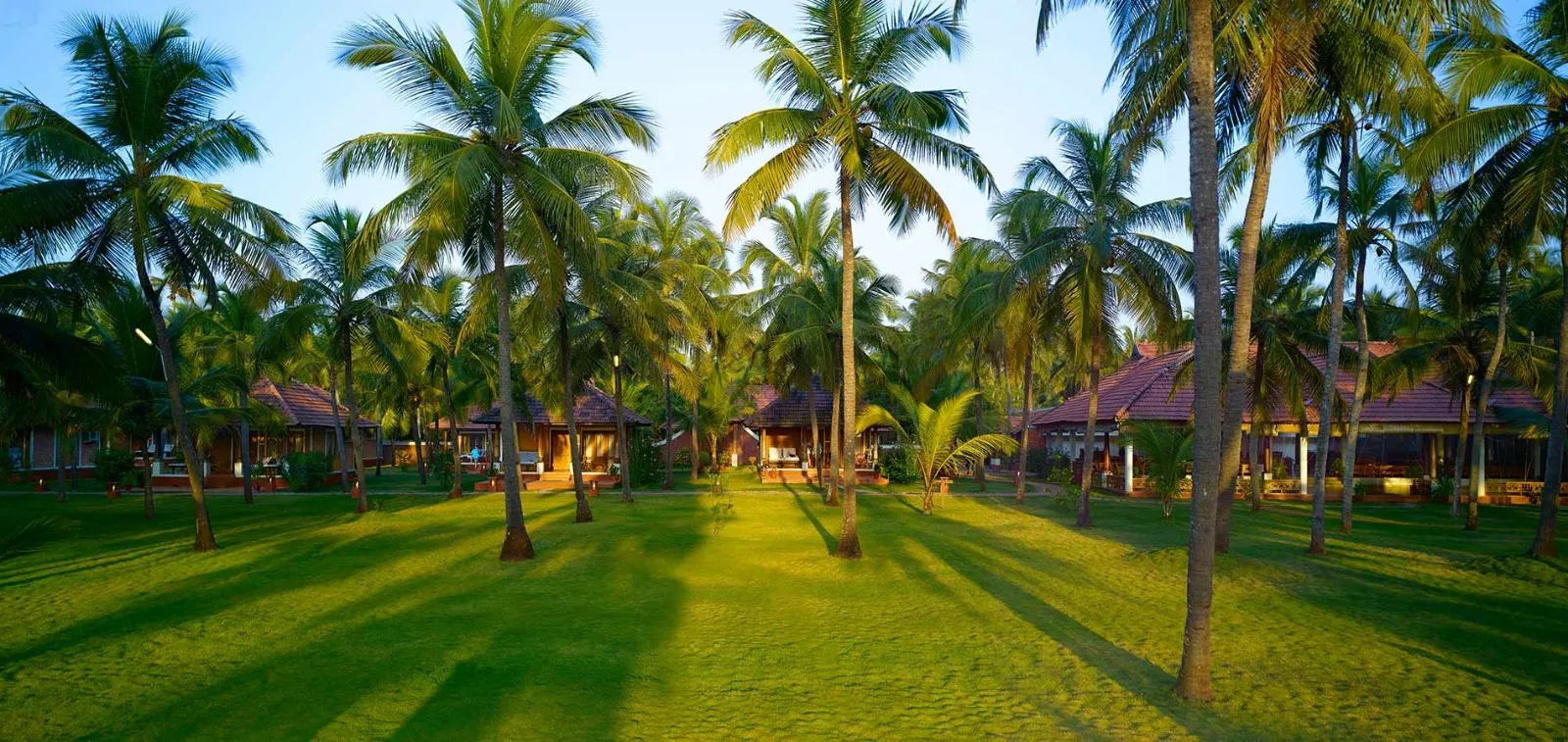 Nattika Beach Ayurveda Resort Lawn