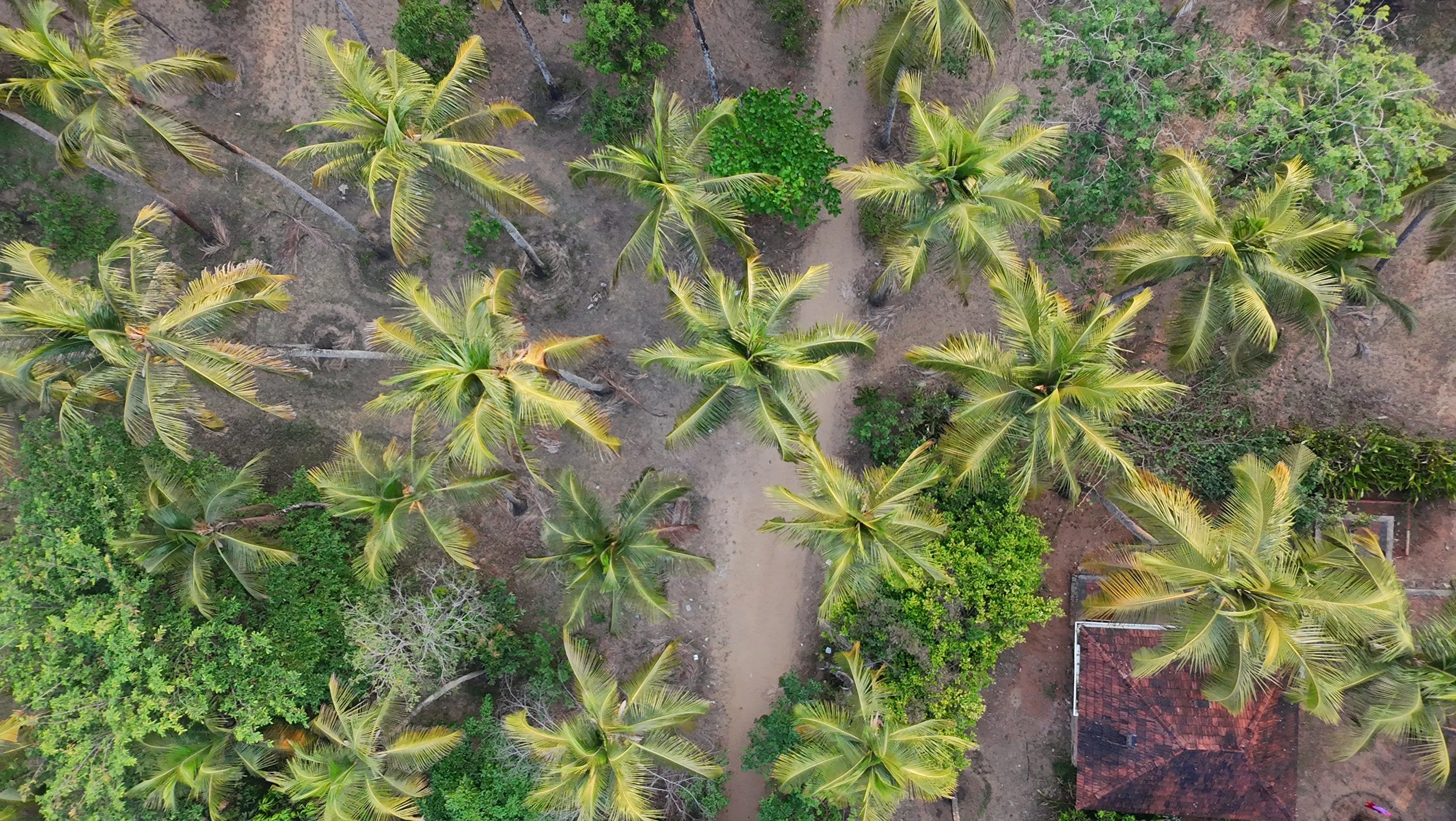 Rajah Eco Beach Drone