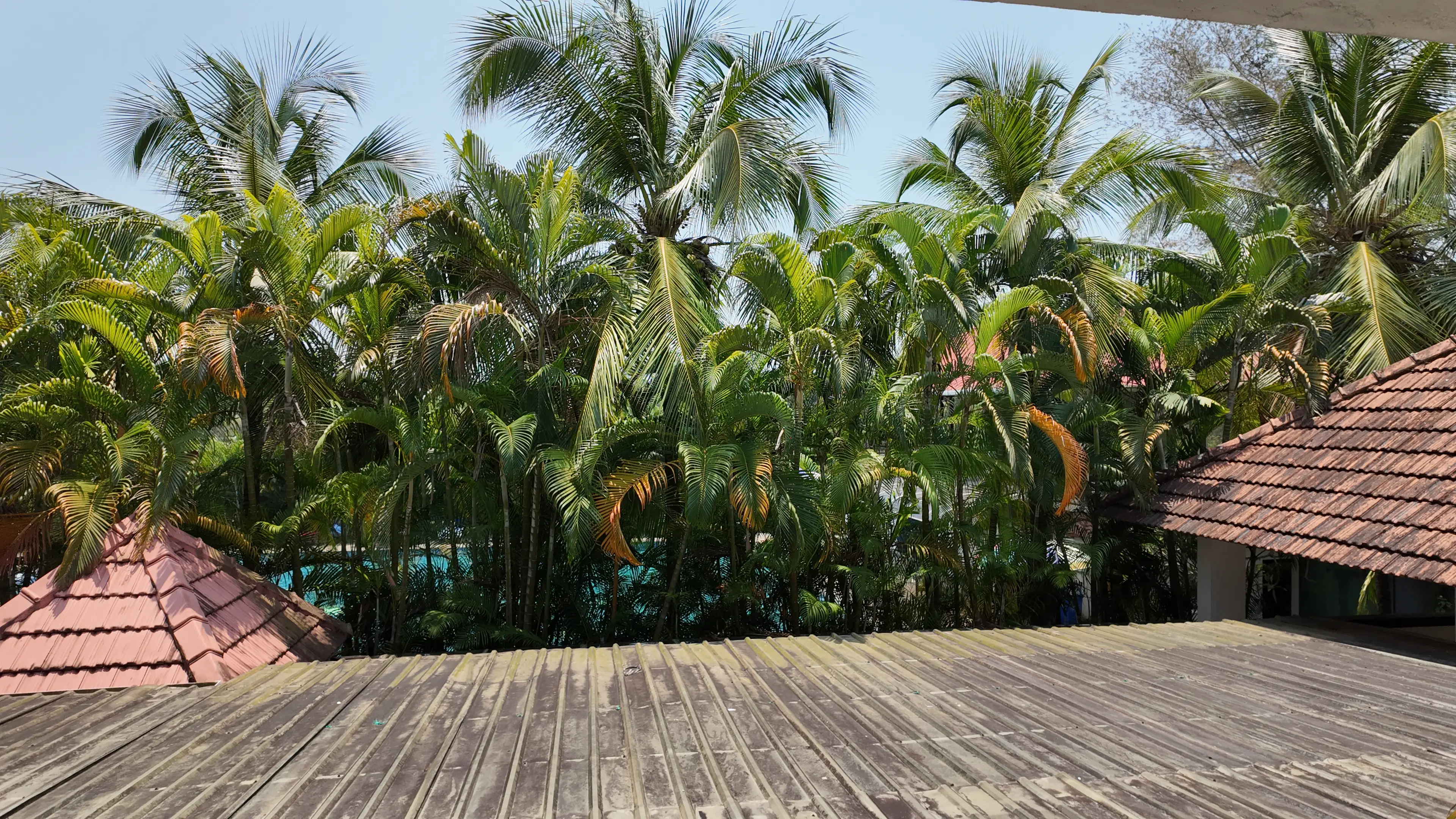 Rajah Eco Beach