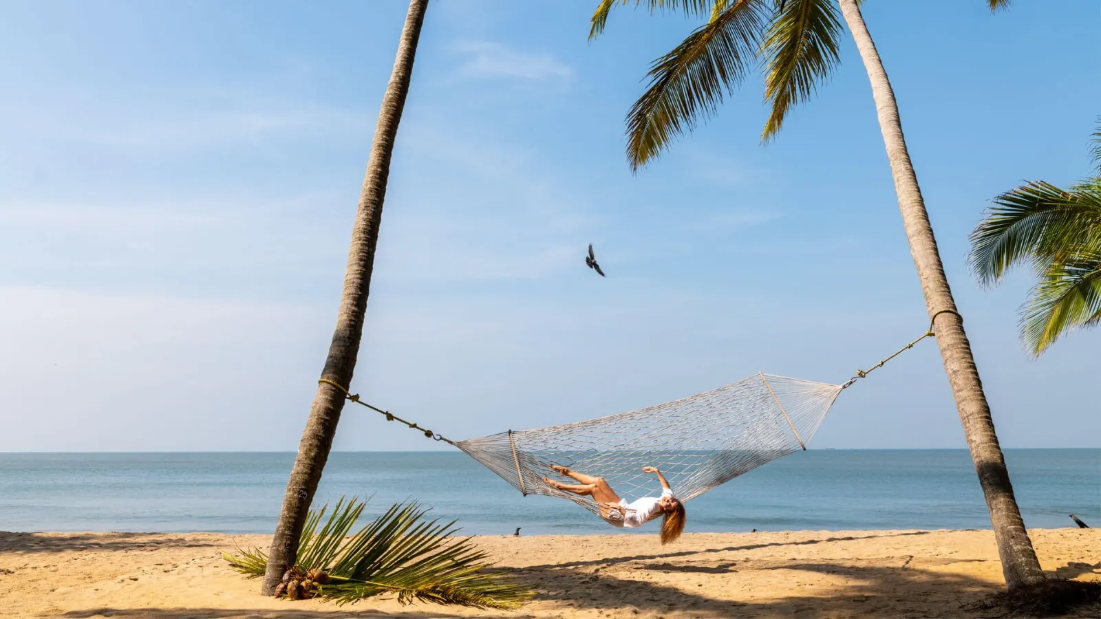 Nattika Beach Ayurveda Resort Beach and Guest