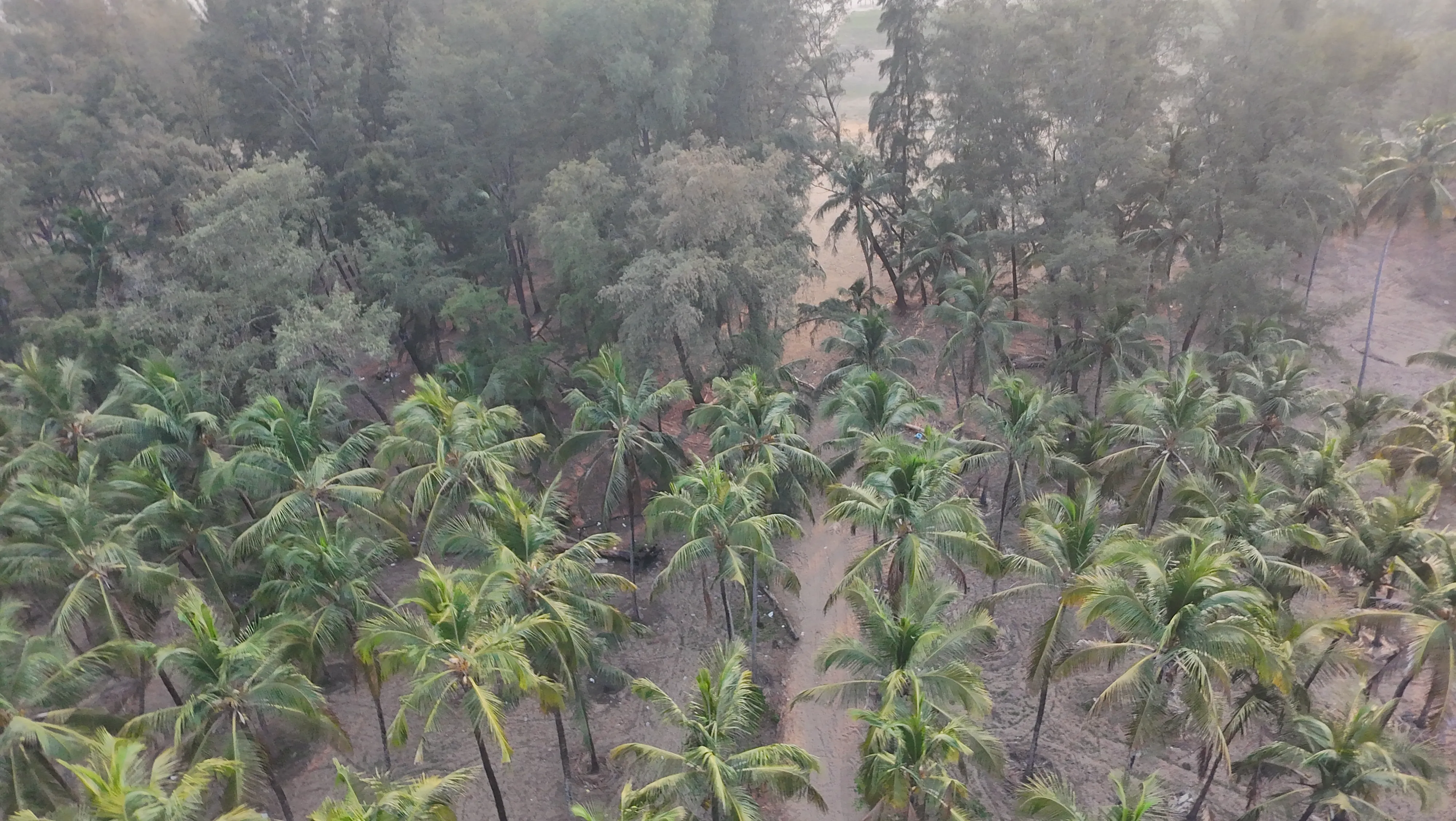 Rajah  Beach Drone