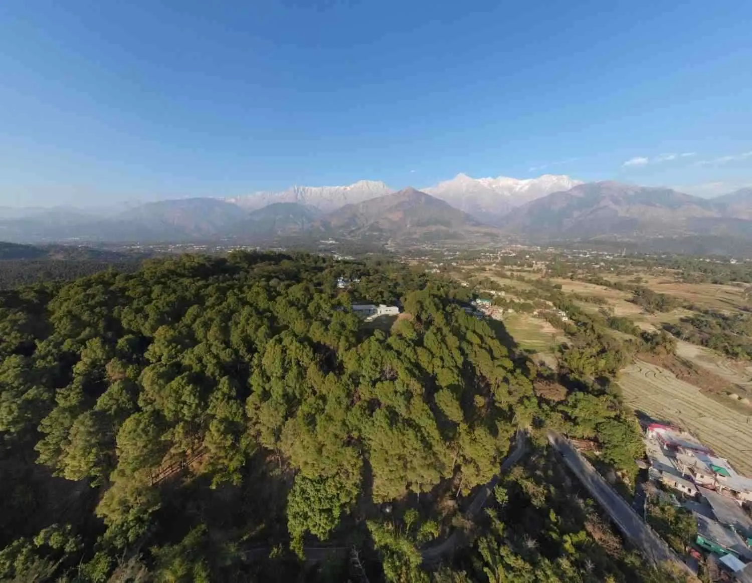Himveda Top View