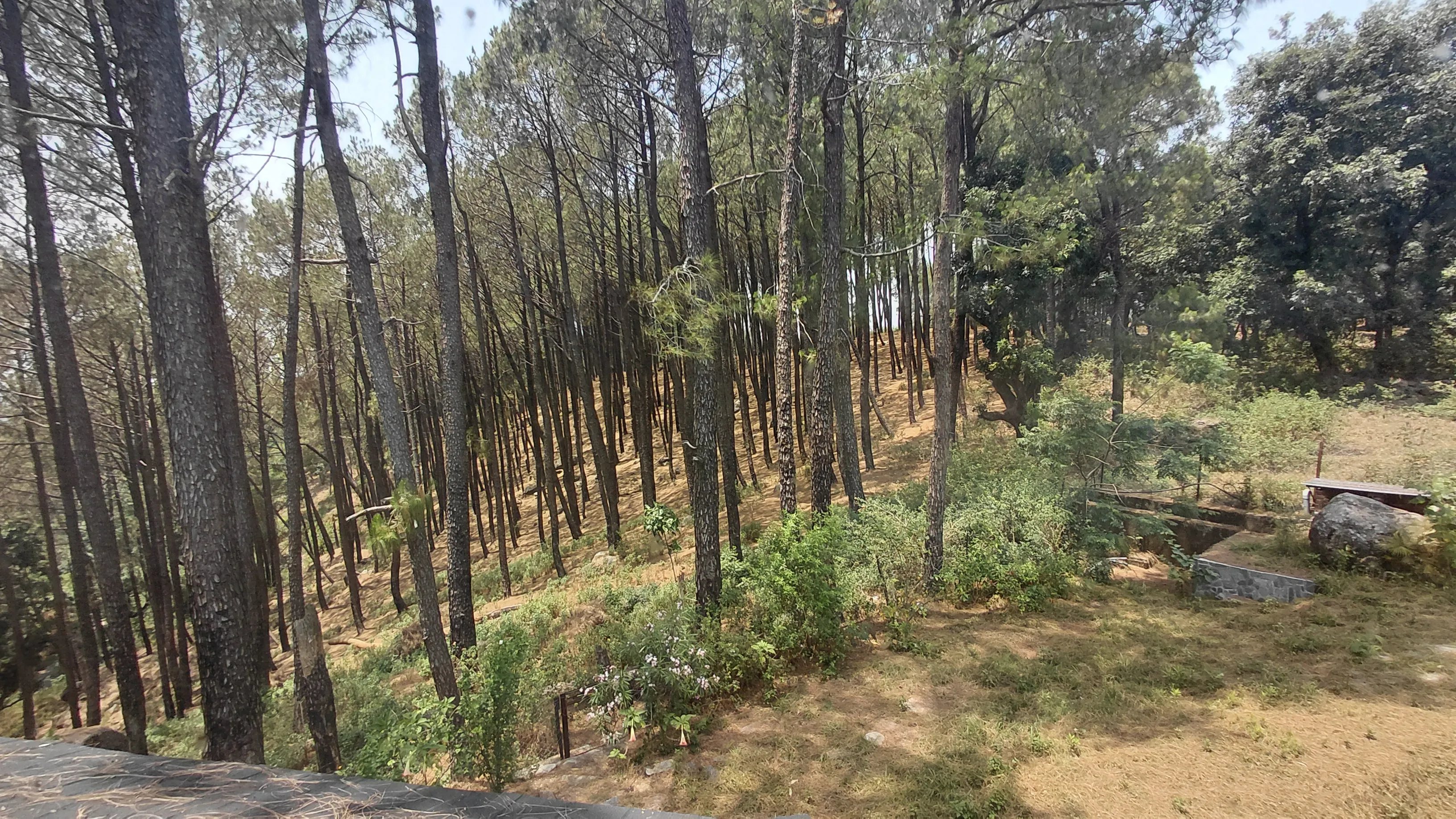 Him Veda Room outside view 