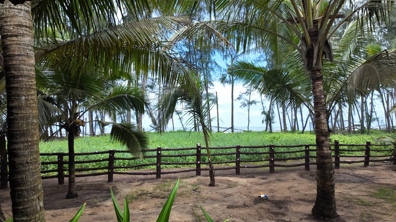Nattika Beach Ayurveda Resort Border