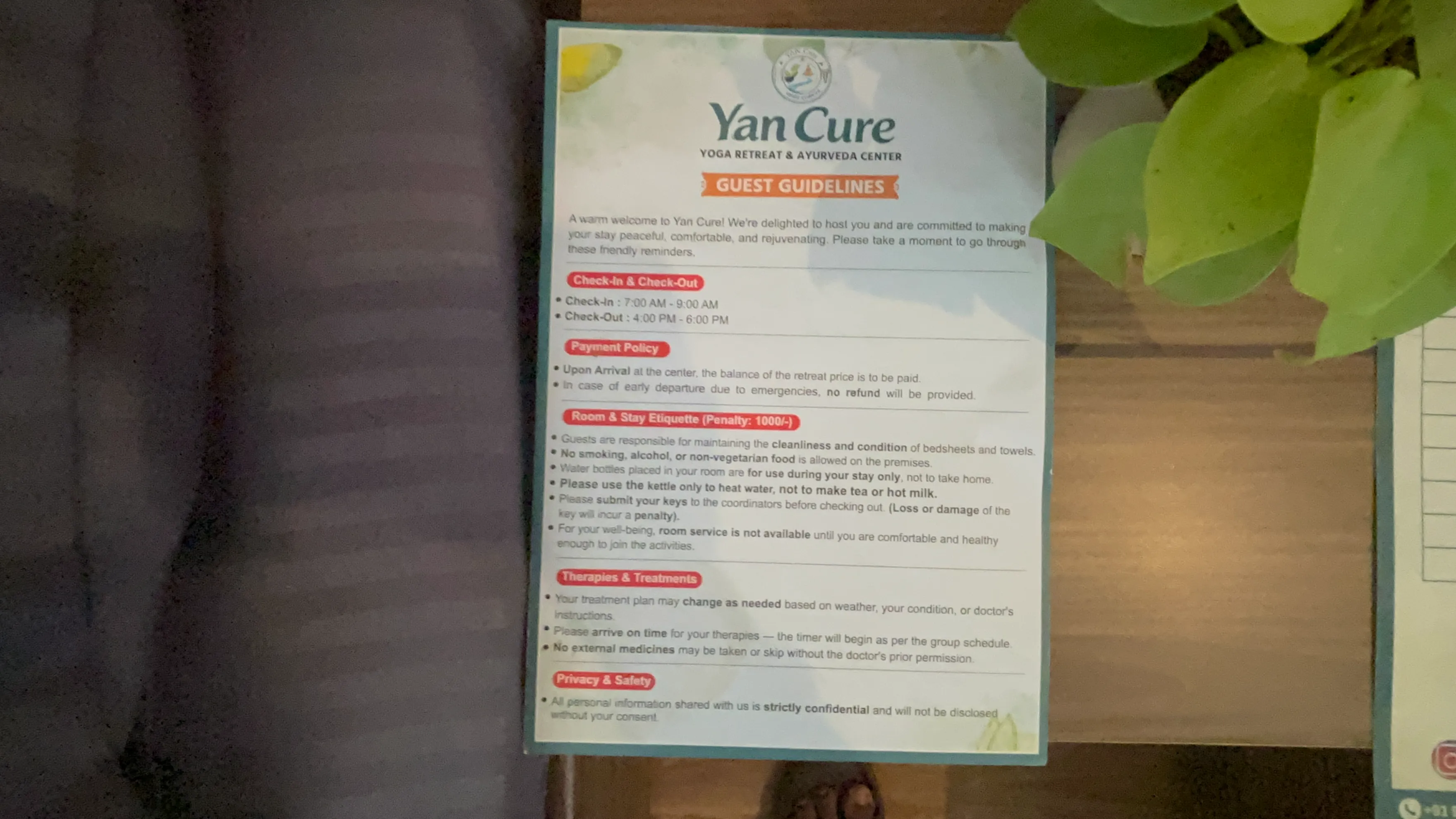 Yan Cure Guidlines