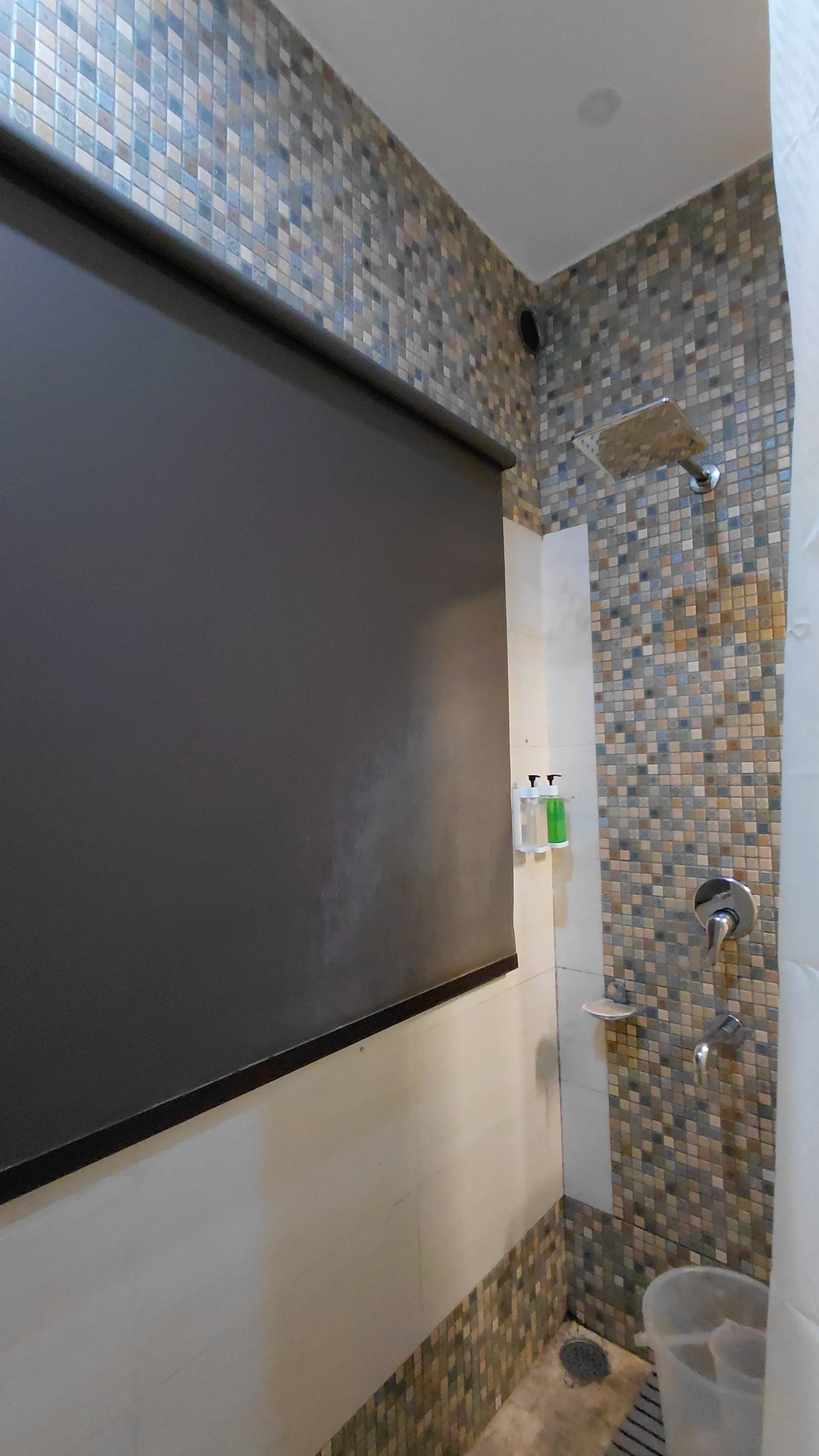 Delux room shower