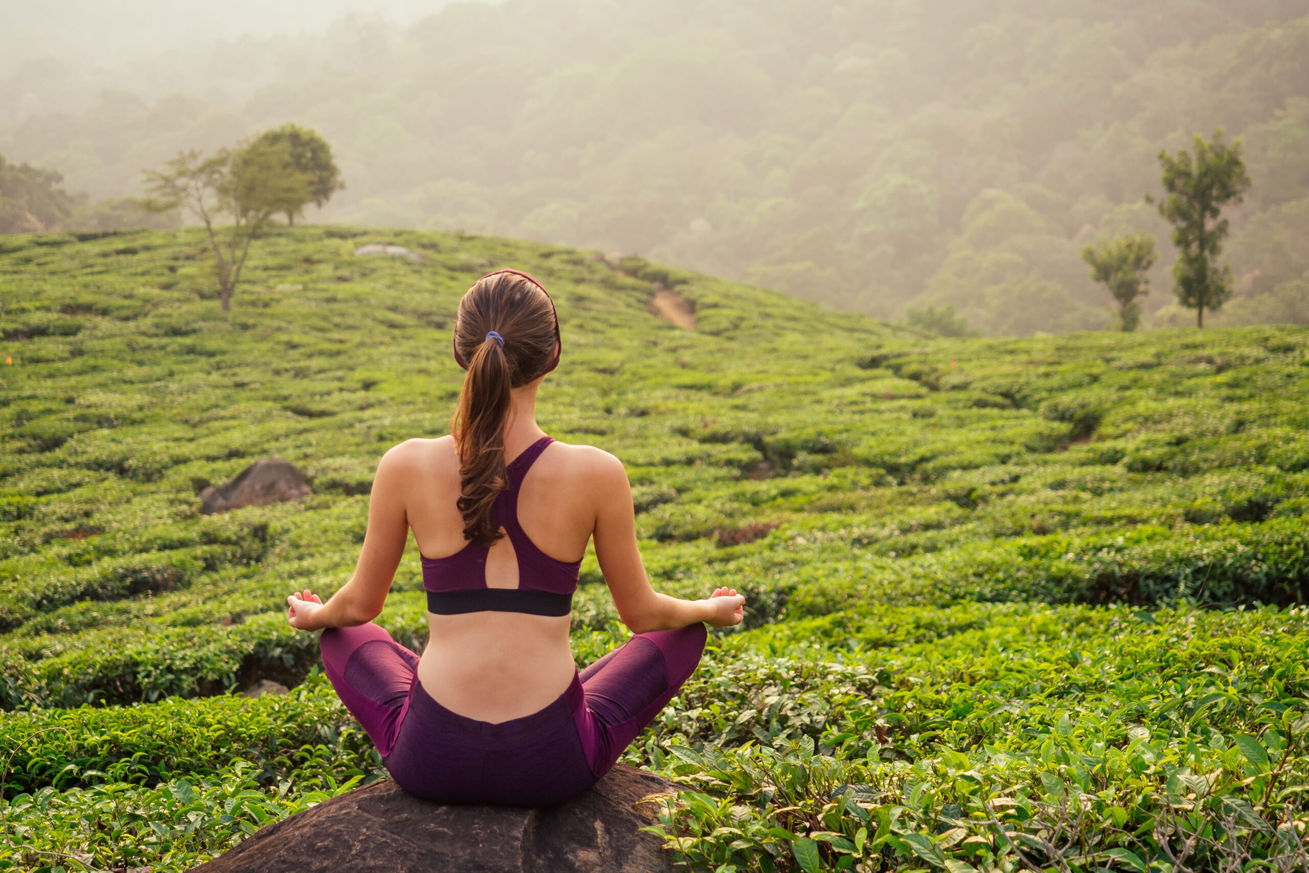 AyurGem Ayurveda Yoga & Wellness Retreat Munnar