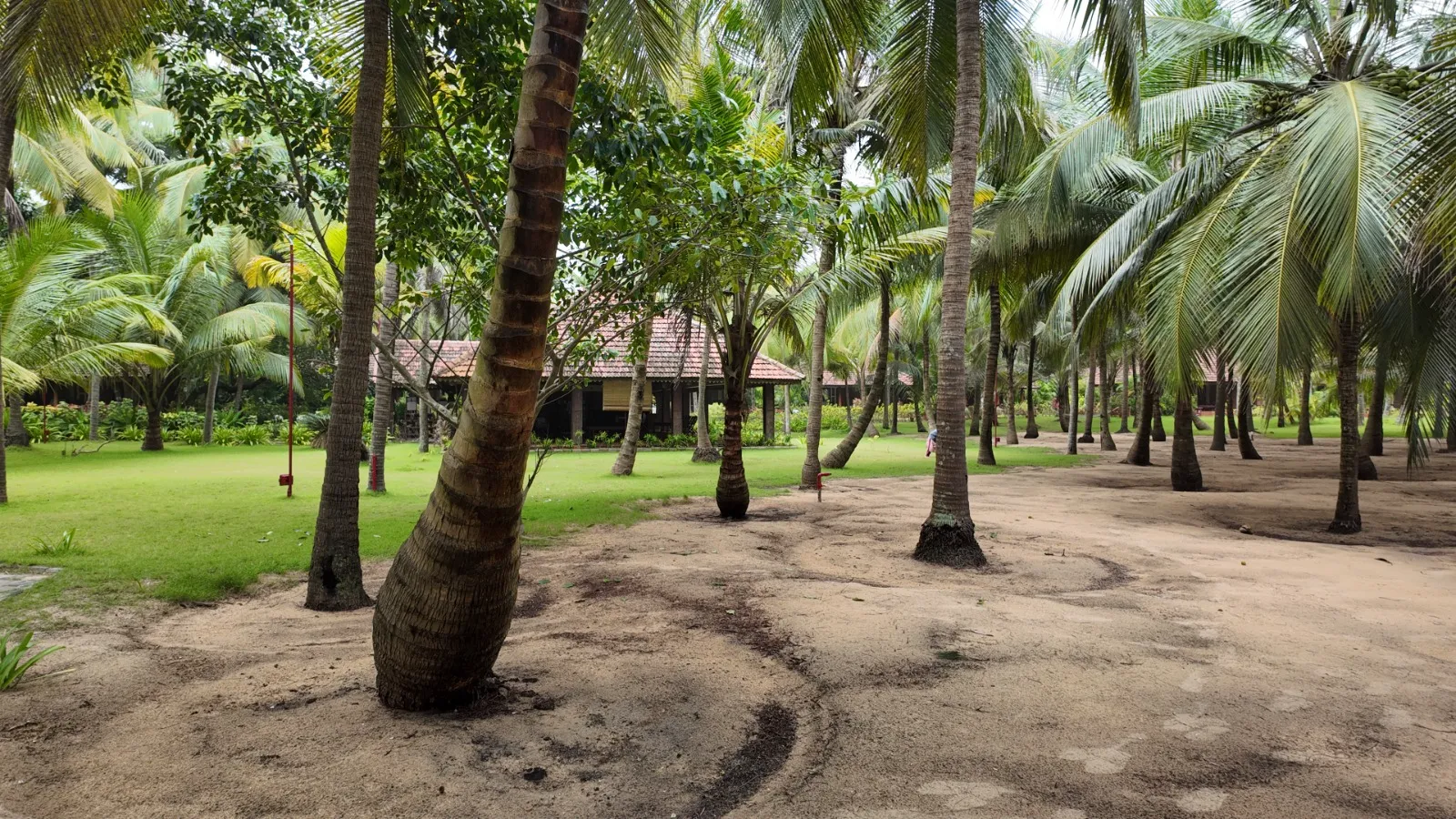 Nattika Beach Ayurveda Resort Outside View